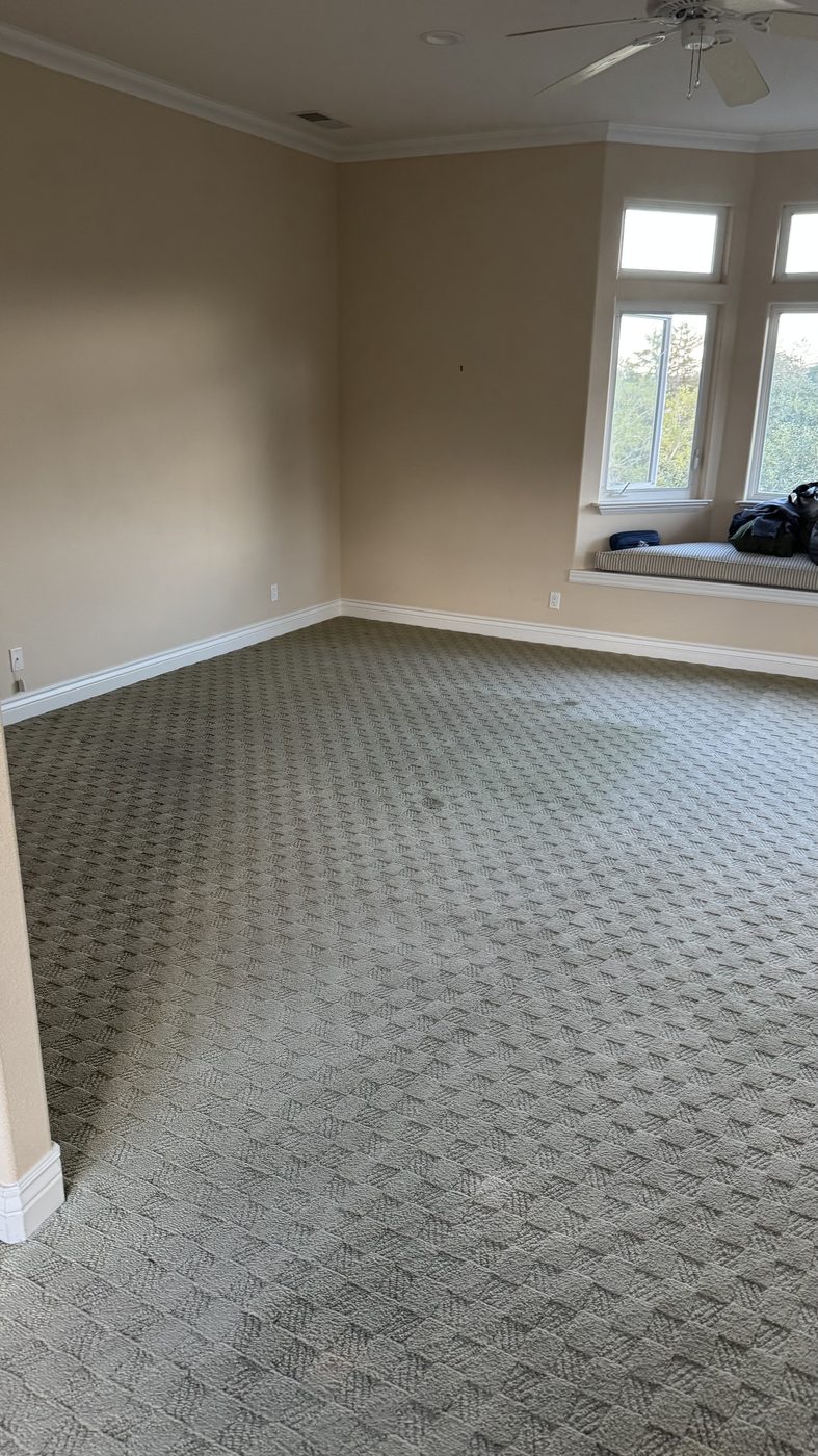 Carpet cleaning result in San Francisco condo